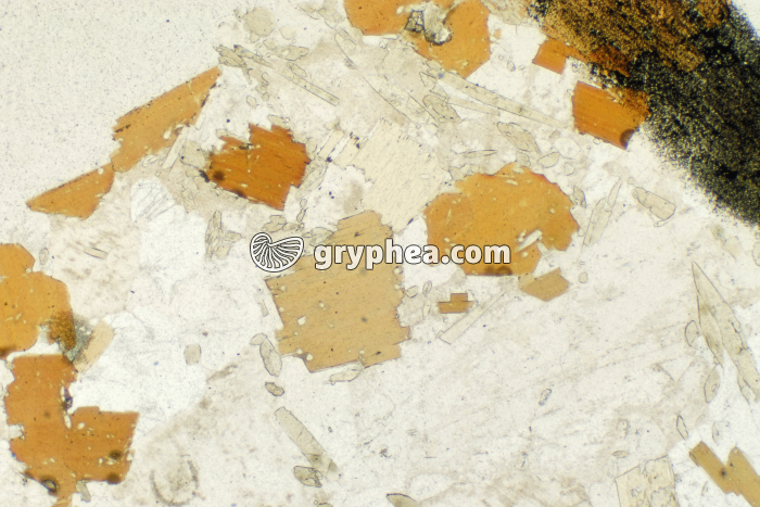 Granite LPNA x10 - gryphea.com